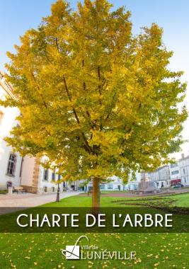 charte arbre Lunéville