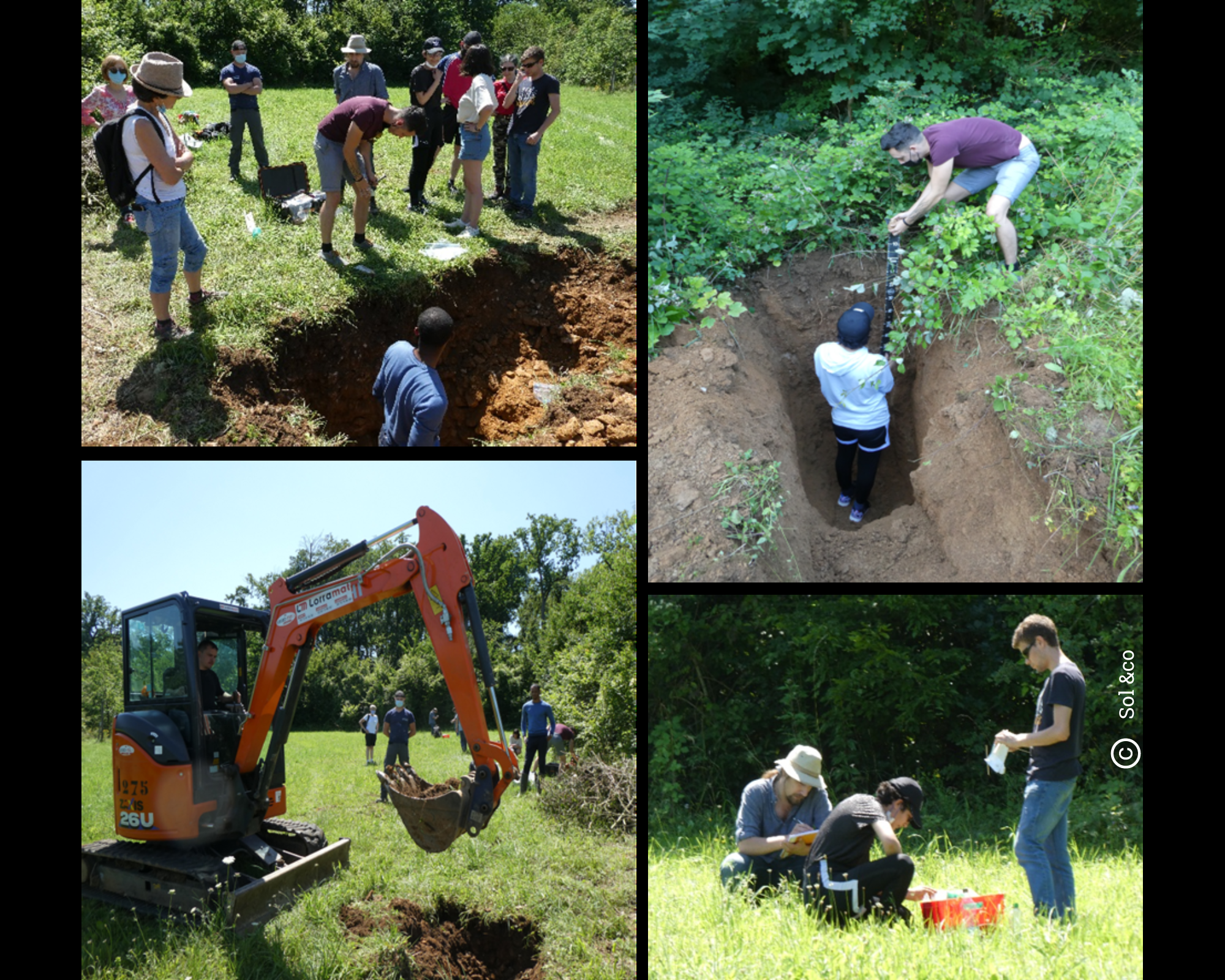 Figure 3 : Réalisation de fosses pédologiques et d’inventaires de la faune du sol avec un collectif citoyen dans le cadre du projet Trame Brune . ©Sol &co