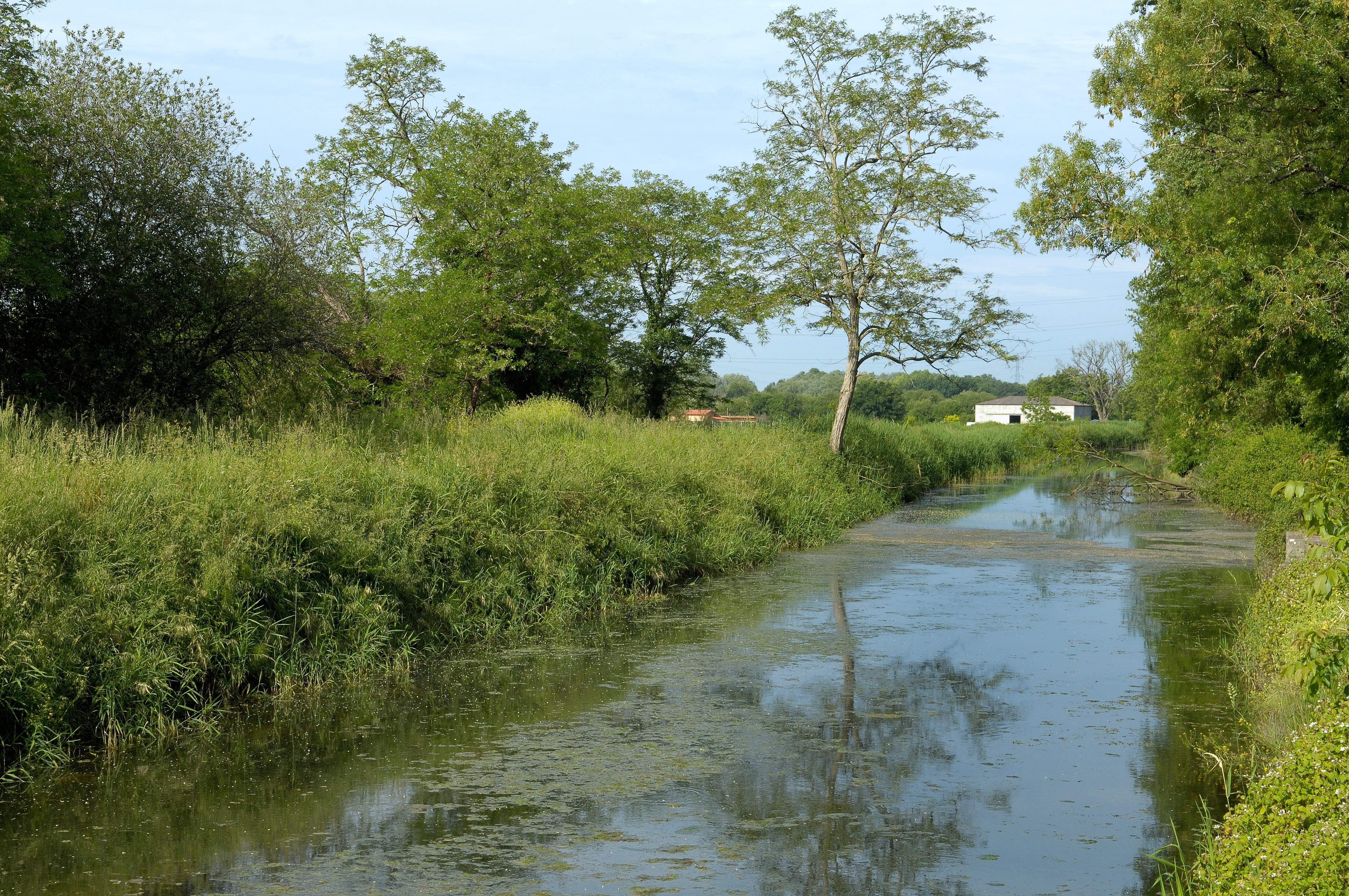 Jalle dans la vallée maraichère