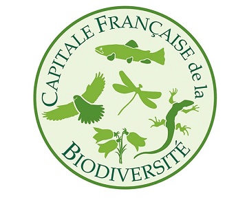 logo CFB