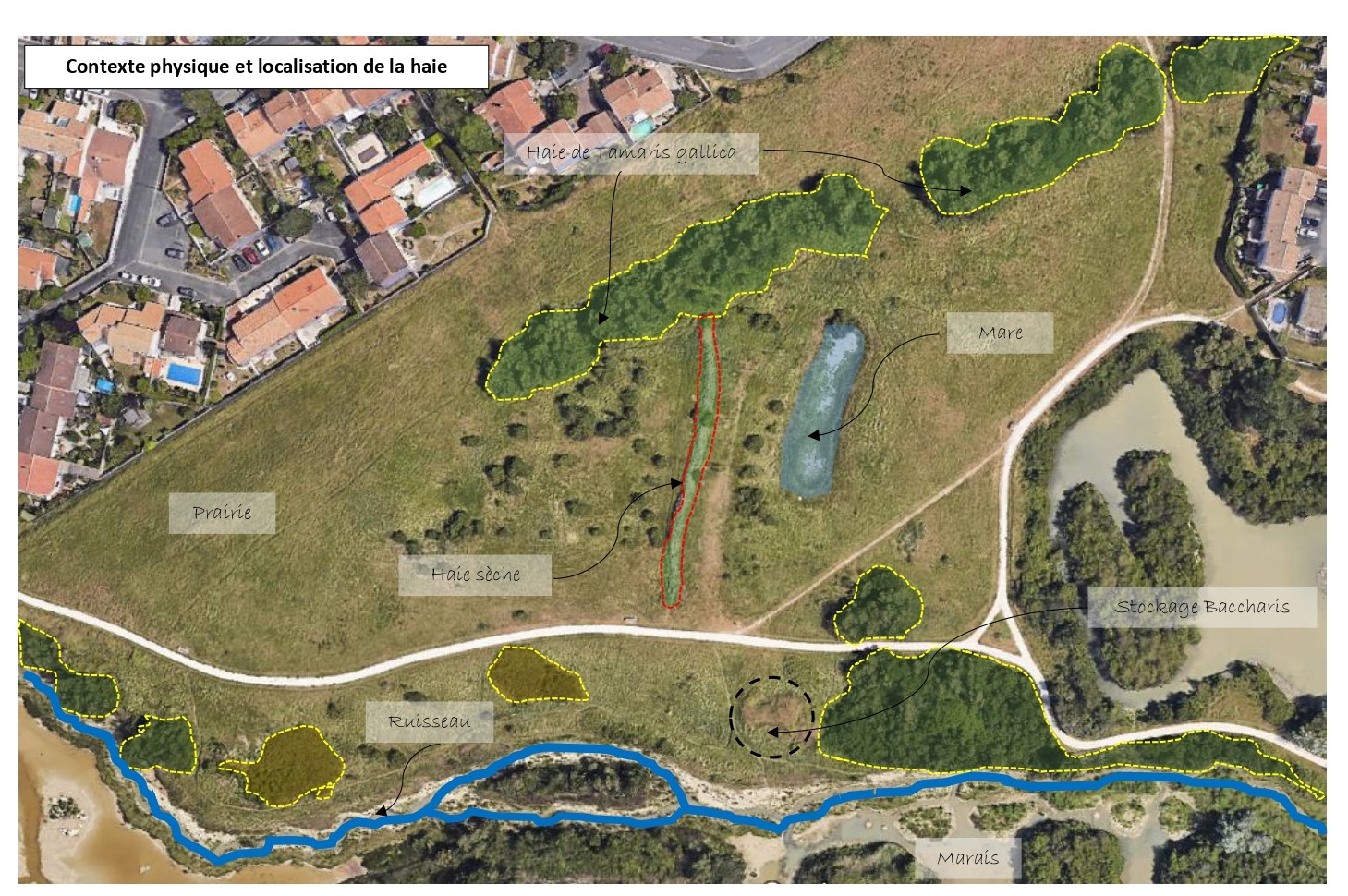 Plan de la haie sèche