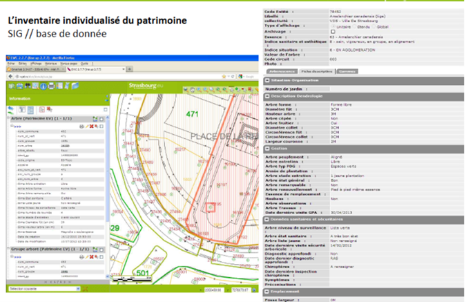 L'inventaire individualisé du patrimoine arboré est un outil de gestion partagé entre les services. Une partie des informations est également partagé avec les habitants pour les inviter à découvrir la richesse du patrimoine arboré de la collectivité.