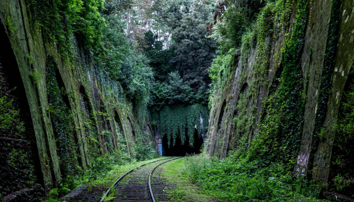 Petite Ceinture de Paris