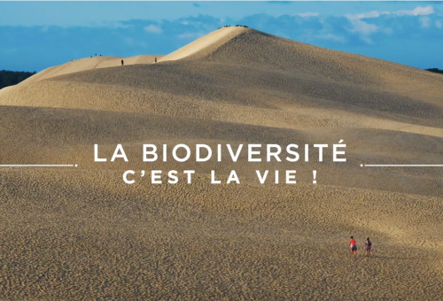 Biodiversité c'est la vie