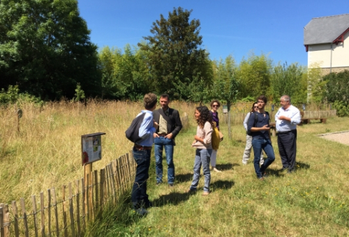 webinaire Nature en ville