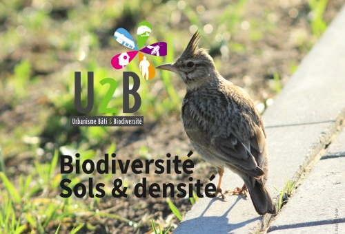 Sols et densité U2B