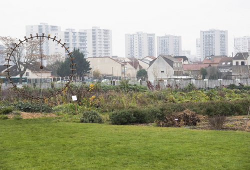 Jardins partagés