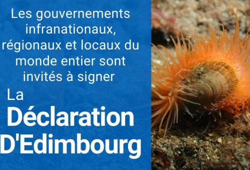 Renforcer l'efficacité des politiques locales en matière de biodiversité