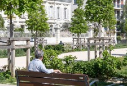 Nature en ville et santé