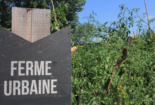 ferme urbaine