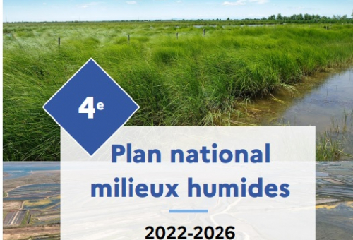 plan national milieux humides