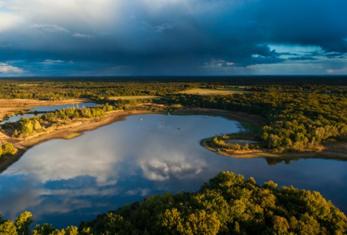 Comprendre l'interdépendance entre l'eau et la biodiversité : les nouvelles données