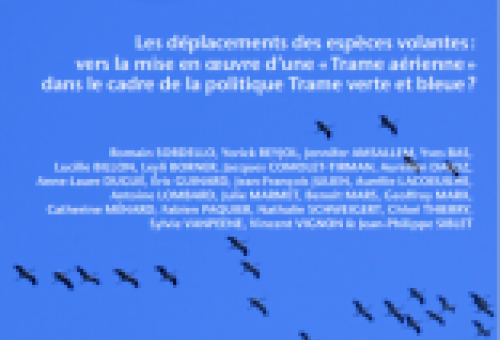 Les déplacements des espèces volantes : vers la mise en œuvre d’une « Trame aérienne » dans le cadre de la politique Trame verte et bleue  ?