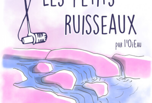 Les petits ruisseaux - mieux gérer l'eau grâce à la nature