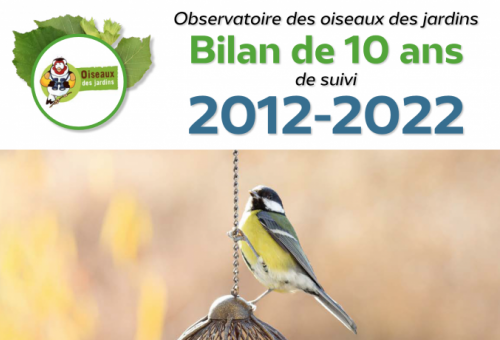 comptage des oiseaux 10 ans