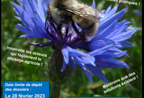 RECENSEMENT D’INITIATIVES POUR LES POLLINISATEURS DES PAYSAGES AGRICOLES