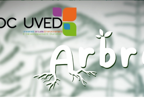 MOOC Arbres