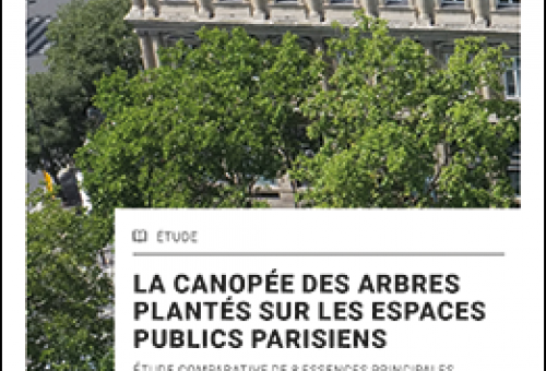 La canopée des arbres plantés sur les espaces publics parisiens Étude comparative de 8 essences principales