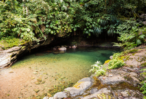 TEN Guadeloupe