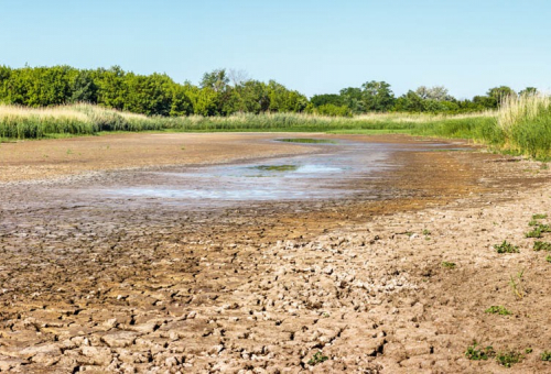 Guide sécheresse : "Mise en œuvre des mesures de restriction des usages de l'eau en période de sécheresse"