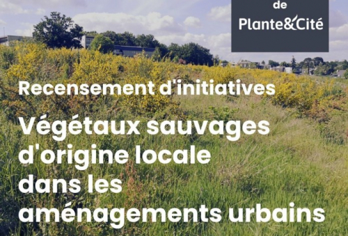 questionnaire végétal local