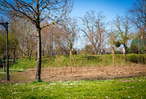 Coup d'oeil sur les micros forêts