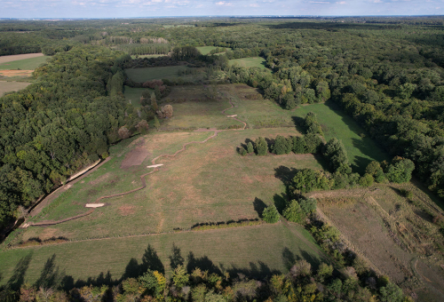 Restauration des habitats naturels en Nouvelle-Aquitaine : que disent les retours d’expériences ?
