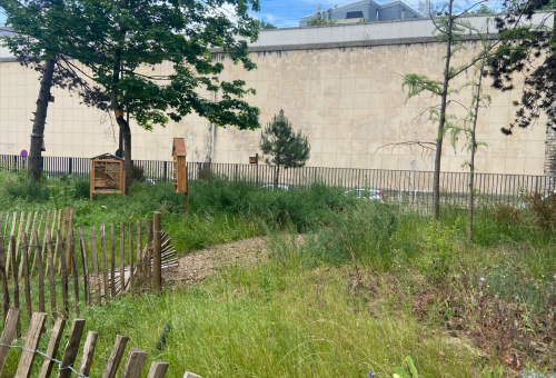 EcoJardin 2025