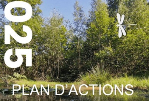 Plan d'actions mares
