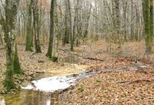 OiEau