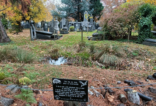 Tisser trames écologiques