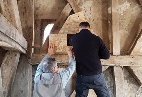 Sites pilotes Nature en Ville