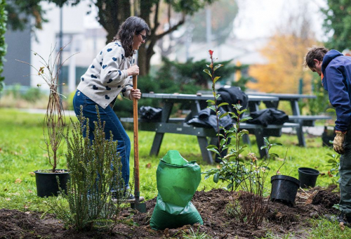Face au changement climatique, faut-il réinventer nos forêts ?