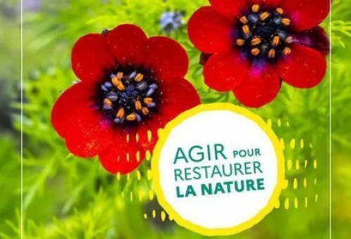 Agir pour restaurer la nature