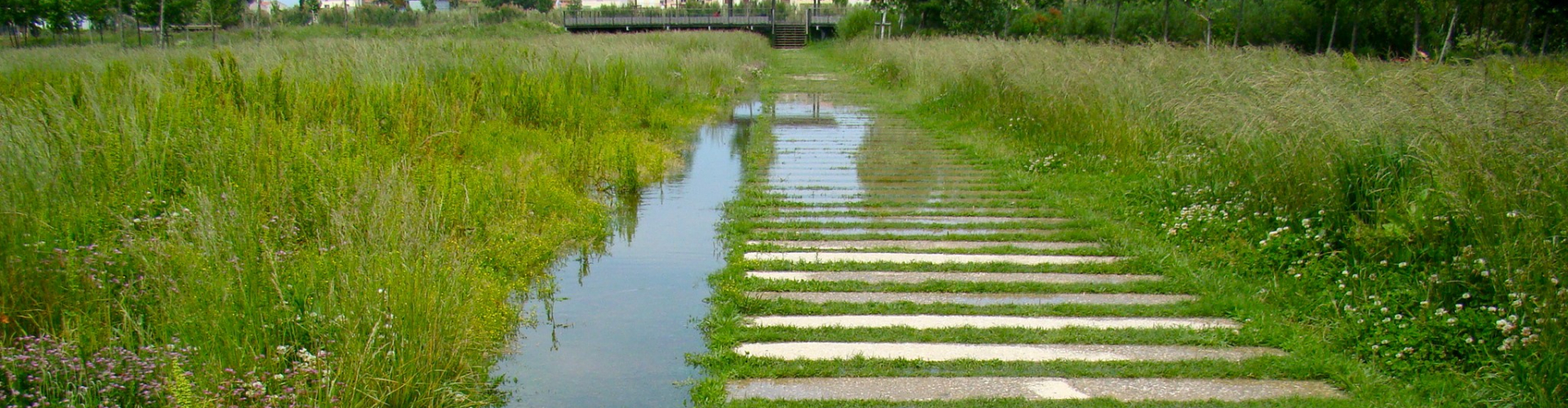  Le parc Sant Vicens à Perpignan, labellisé EcoJardin en 2013