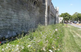 Désimperméabilisation Avignon