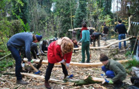 Aménagement et gestion du jardin écologique