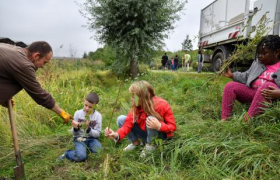 La nature source de solution