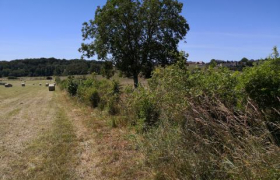 St Rémy de Comté haie