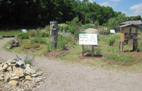 Saint-Louis site expérimentation