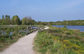 marais de condette