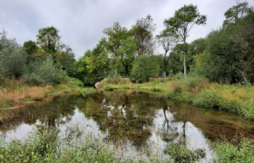 Restauration continuité écologique d'une rivière urbaine