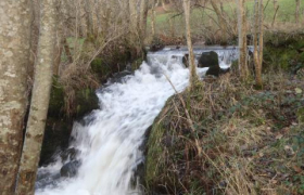 Cours d'eau Saône Beaujolais