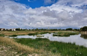 La Rochelle Marais de Tasdon