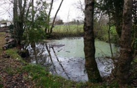 MISE EN ŒUVRE D'UN PLAN MARE DANS LE CADRE D'UN PARTENARIAT AVEC L'AGROCAMPUS DE SAINTONGE