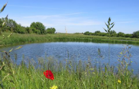 Reconquête Biodiversité Chartres 