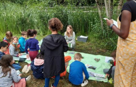 VALORISATION DES AMPHIBIENS D’ALBI AVEC UN GUIDE PÉDAGOGIQUE ET DES ACTIONS DE TERRAIN