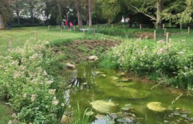 RÉOUVERTURE DE LA SOURCE DE LA PETITE SAUSSAIE ET RENATURATION DU BASSIN DANS LE PARC FRÉDÉRIC JOLIOT-CURIE