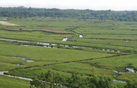 CONTRAT DE PROGRÈS MARAIS DE BROUAGE