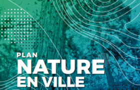 SCHÉMA DIRECTEUR DES PAYSAGES ANGEVINS 2019/2025 ET D'UN PLAN NATURE EN VILLE 2021/2025